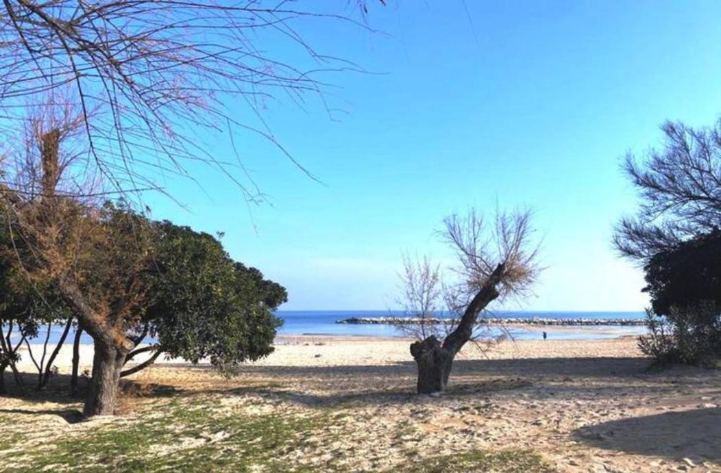 Appartamento Dimora Mare Bari Esterno foto